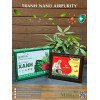 Tranh Nano Airpurity Gold Để Bàn 22x28cm