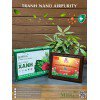 Tranh Nano Airpurity Gold Để Bàn 22x28cm