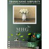 Tranh treo tường Nano Airpurity Gold 45x55