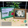 Tranh để bàn Nano Airpurity Platinum 19x25