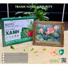 Tranh để bàn Nano Airpurity Platinum 19x25