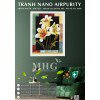 Tranh treo tường Nano Airpurity Gold 45x55