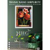 Tranh treo tường Nano Airpurity Gold 45x55