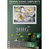 Tranh treo tường Nano Airpurity Gold 45x55
