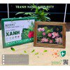 Tranh để bàn Nano Airpurity Platinum 22x28