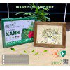 Tranh để bàn Nano Airpurity Platinum 22x28