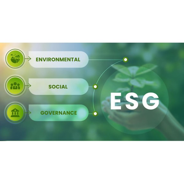 Bộ tiêu chuẩn ESG 