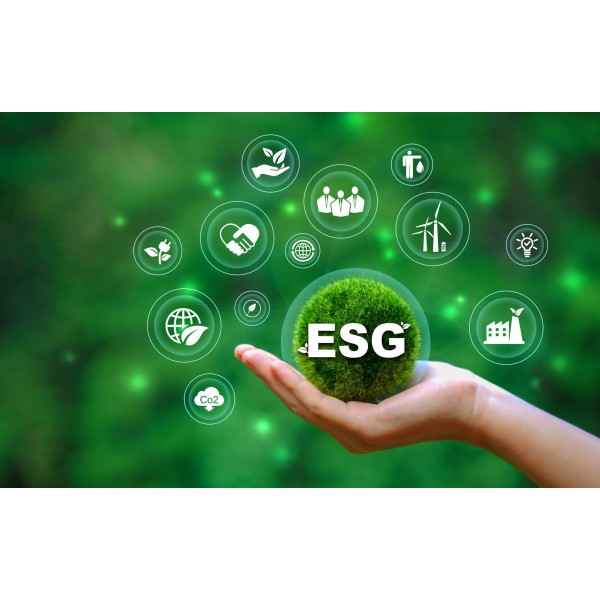 Công ty CPTĐ Mai Hoa cam kết chính sách phát triển bền vững