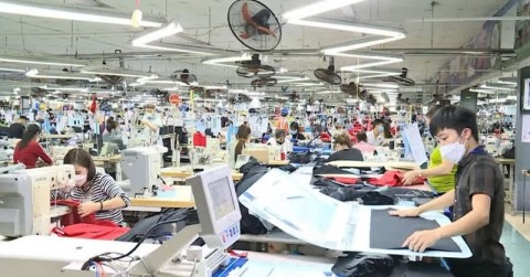 Vai trò của doanh nghiệp trong chuyển đổi xanh, kiến tạo bền vững Vai trò của doanh nghiệp trong chuyển đổi xanh, kiến tạo bền vững