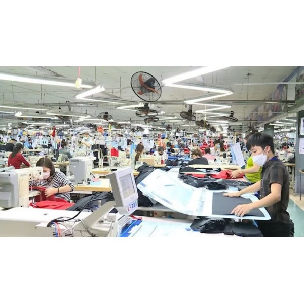 Vai trò của doanh nghiệp trong chuyển đổi xanh, kiến tạo bền vững