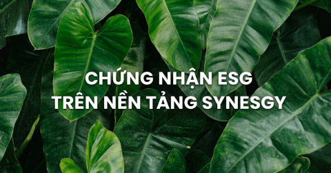 Chứng nhận ESG trên nền tảng Synesgy