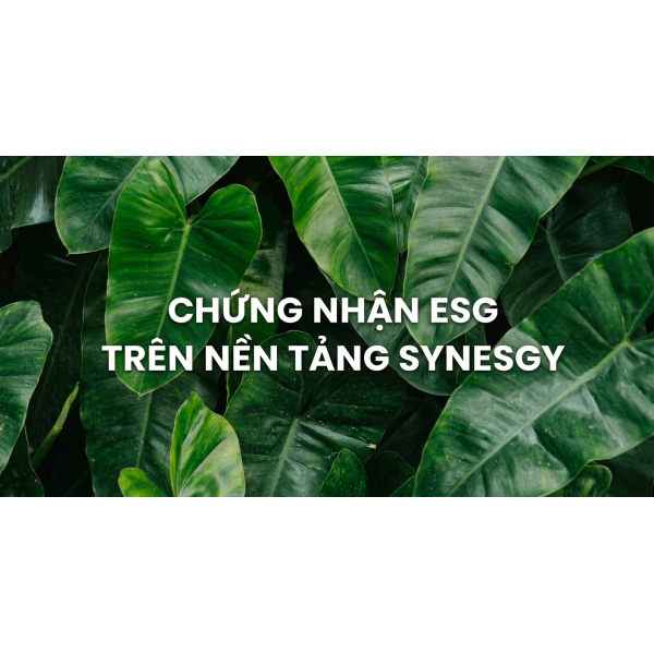 Chứng nhận ESG trên nền tảng Synesgy