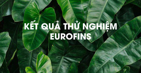 Chứng nhận thử nghiệm Eurofins tại Việt Nam