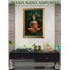 Tranh treo tường Nano Airpurity 50x70 cm kháng khuẩn, virus, khử mùi