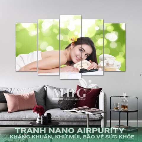 Tranh bộ nhiều bức Nano Airpurity AB-76