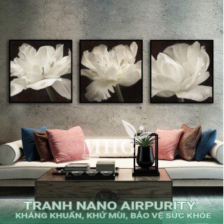 Tranh bộ nhiều bức Nano Airpurity BEN22