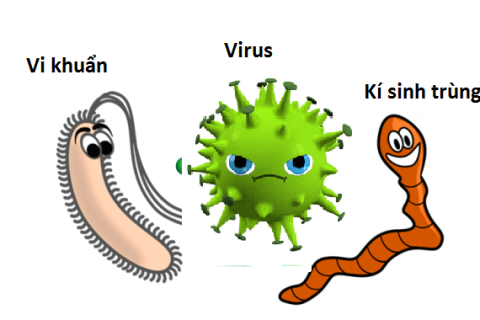 Phân biệt vi khuẩn - virus - ký sinh trùng