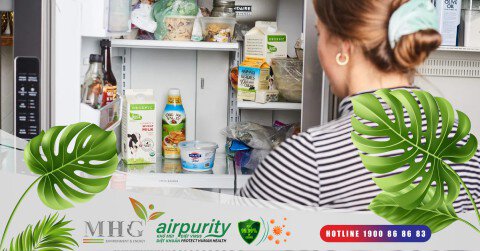 Bí quyết duy trì vệ sinh tốt nhất cho tủ lạnh: Sử dụng miếng kháng khuẩn hiệu quả