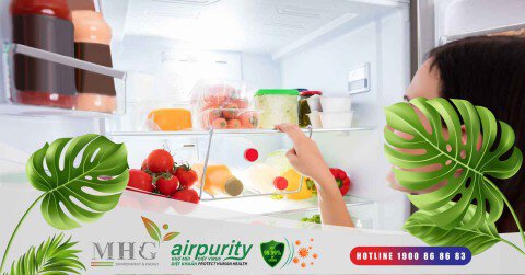 Miếng kháng khuẩn tủ lạnh - Giải pháp hiệu quả để bảo vệ sức khỏe và bảo quản thực phẩm