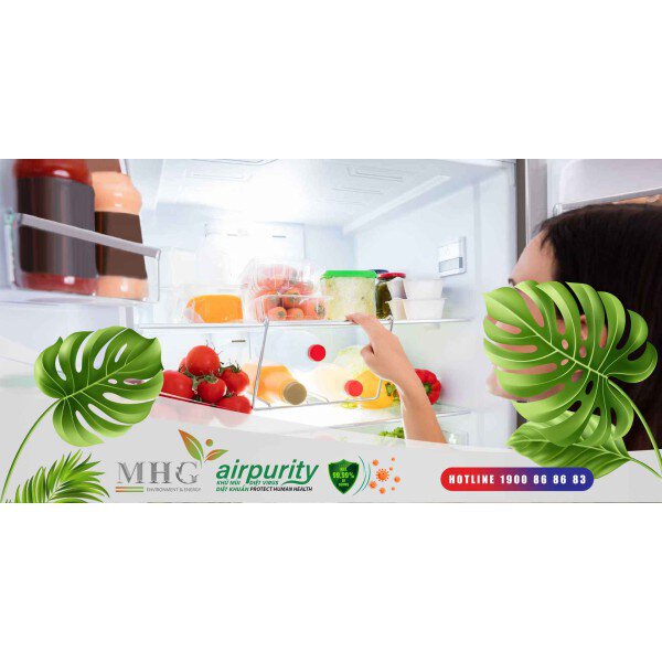 Miếng diệt khuẩn tủ lạnh - Giải pháp hiệu quả để bảo vệ sức khỏe và bảo quản thực phẩm