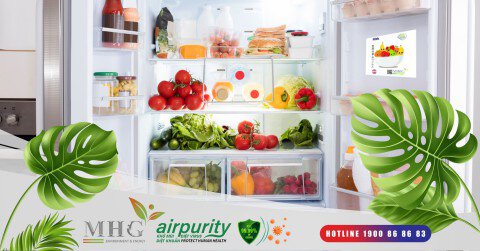 Khám phá cách sử dụng miếng dán khử mùi tủ lạnh để bảo quản thực phẩm tốt nhất