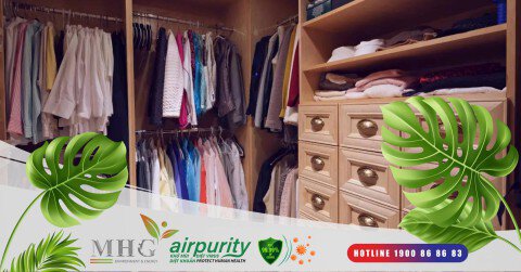 Miếng dán khử mùi tủ quần áo: Khử mùi tủ quần áo mới hiệu quả tại nhà