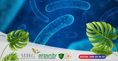 Miếng kháng khuẩn Airpurity: Sản phẩm ngăn chặn sự lây lan vi khuẩn