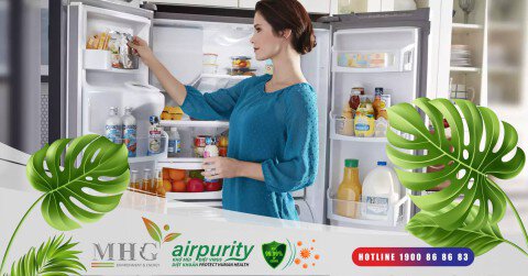 Miếng kháng khuẩn tủ lạnh - Đối phó hiệu quả với vi khuẩn và mùi khó chịu