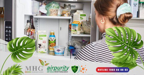 Miếng kháng khuẩn tủ lạnh - Giải pháp an toàn, hiệu quả cho thực phẩm