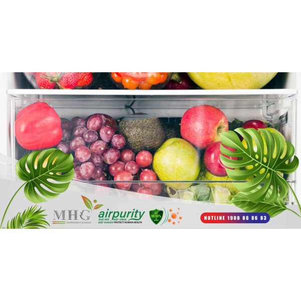 Miếng kháng khuẩn tủ lạnh - Giải pháp hiệu quả để bảo vệ thực phẩm