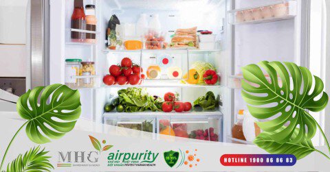 Miếng kháng khuẩn tủ lạnh - Giữ thực phẩm tươi ngon và không lo vi khuẩn