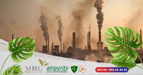 Nguyên nhân gây ô tình trạng ô nhiễm môi trường không khí và giải pháp khắc phục