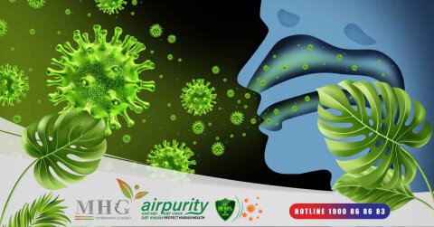 Miếng kháng khuẩn: Đánh bay vi khuẩn, giảm thiểu rủi ro lây nhiễm bệnh