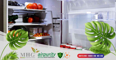 Tác hại của vi khuẩn trong tủ lạnh tới sức khỏe của bạn