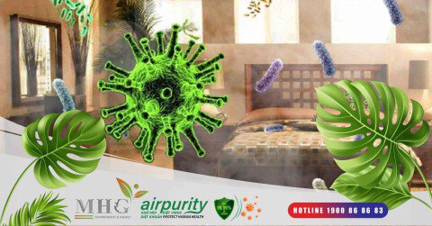 Tại sao nên sử dụng miếng kháng khuẩn Airpurity?