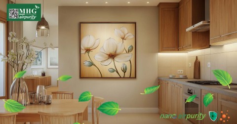 Khử Khuẩn Từ Tranh Nano AirPurity, Mang Lại Phòng Bếp Sạch Mỗi Ngày