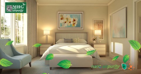 Tranh Nano AirPurity: Tạo Phòng Ngủ Sạch, Kháng Khuẩn và Lành Mạnh