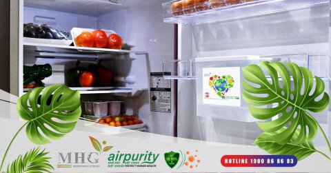 Vì sao nên sử dụng miếng dán khử mùi tủ lạnh Airpurity?