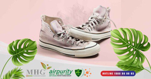Vì sao miếng dán khử mùi giày Airpurity lại cần thiết?