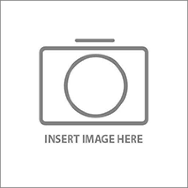 Võ Nguyên Giáp: những chặng đường lịch sử