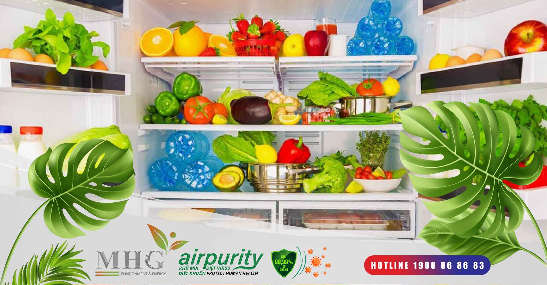 Cách khử mùi hôi mùi tủ lạnh bằng miếng dán khử mùi tủ lạnh Airpurity